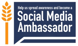 Become a social media ambassador